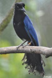 Vogelpark Ruinen