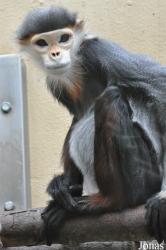 Zoo Köln