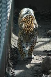 Zoo de Sevilla