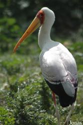Zoo de Sevilla