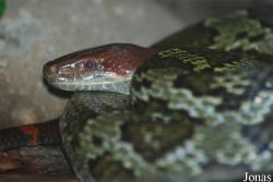 Zoo Jihlava