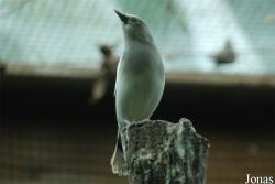 Eureka
