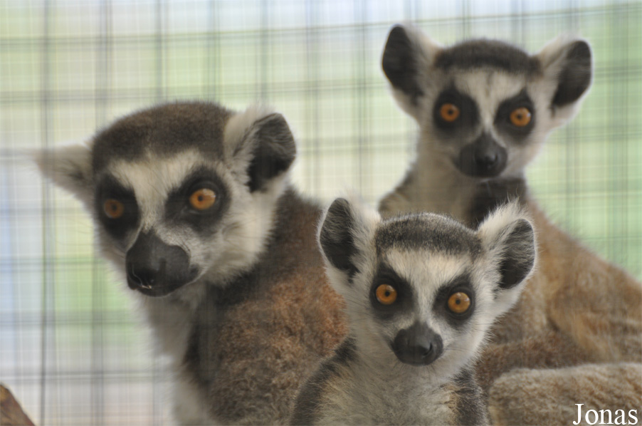 Zoo Alt Camp