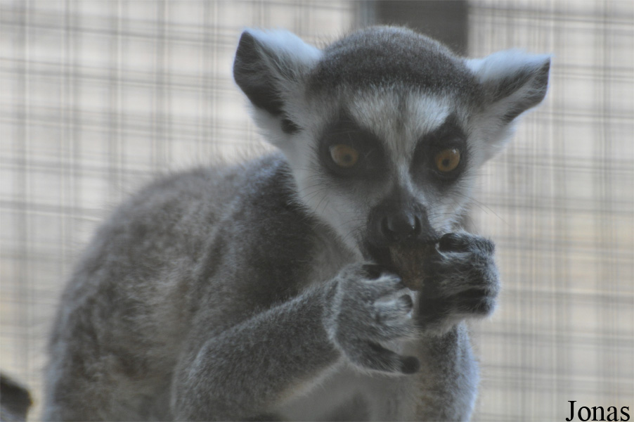 Zoo Alt Camp
