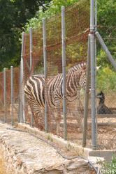 Zoo Alt Camp