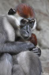 Parc Zoològic de Barcelona