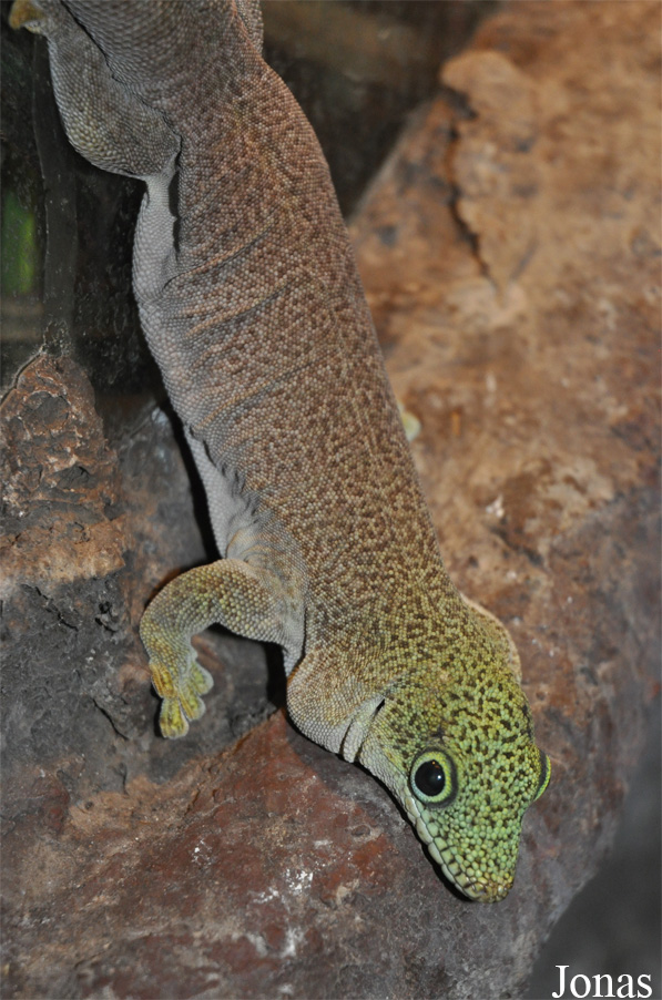 Parc Zoològic de Barcelona
