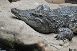Parc Zoològic de Barcelona