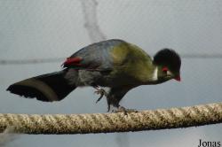 Parque Zoológico de Lagos