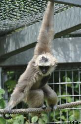 Parc Zoologique et Botanique de Mulhouse