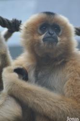 Parc Zoologique et Botanique de Mulhouse