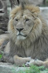 Parc Zoologique et Botanique de Mulhouse