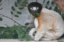 Parc Zoologique et Botanique de Mulhouse