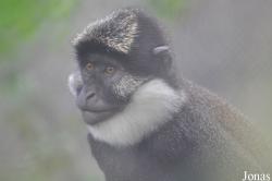 Parc Zoologique et Botanique de Mulhouse