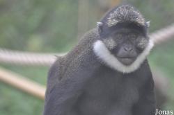 Parc Zoologique et Botanique de Mulhouse