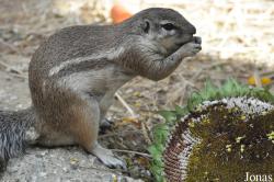 Zoo Basel