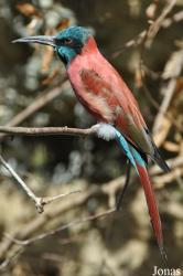 Zoo Basel