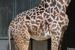 Zoo Basel