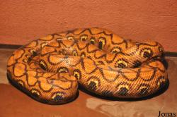 Zoo Basel