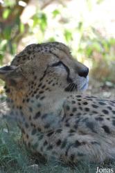 Zoo Basel