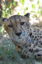 Zoo Basel