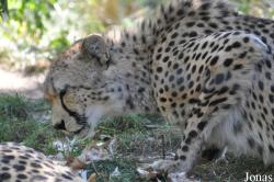 Zoo Basel