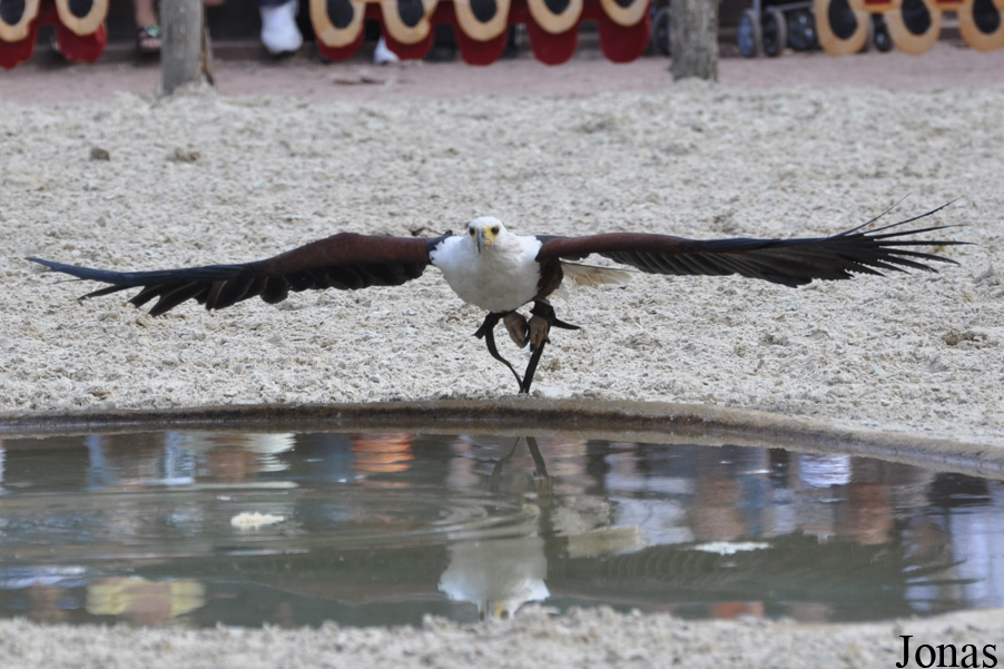 Zoo d'Amnéville