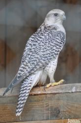 Zoo d'Amnéville
