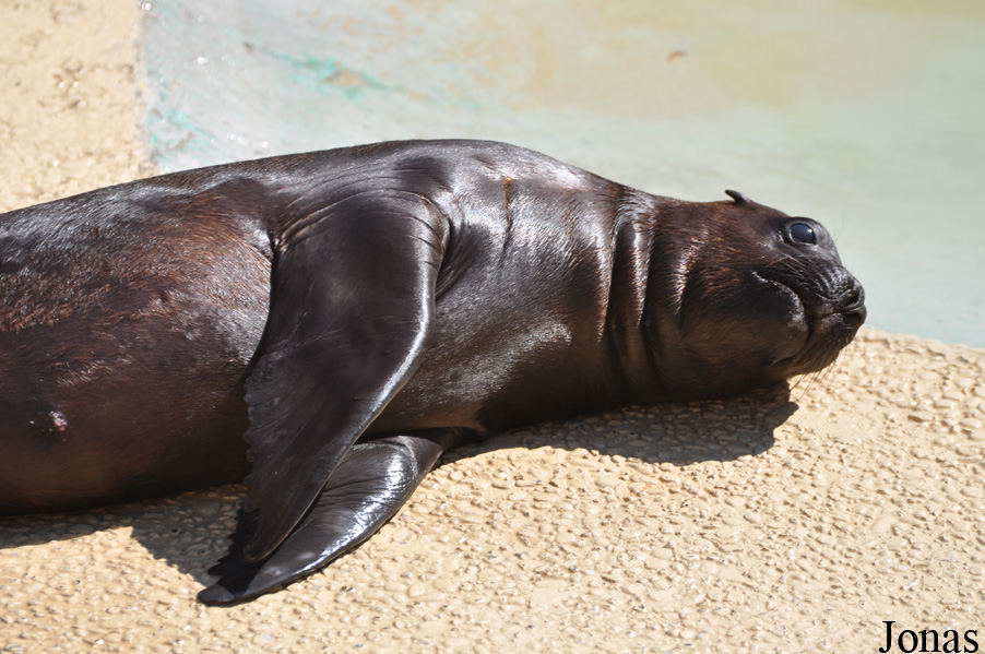 Zoo Heidelberg