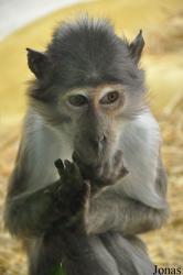 Zoo Landau in der Pfalz
