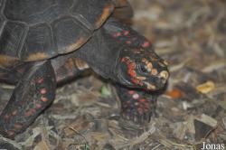 Zoo Landau in der Pfalz