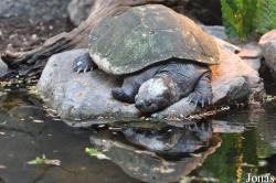 Zoo Landau in der Pfalz