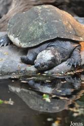 Zoo Landau in der Pfalz