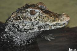 Zoo Landau in der Pfalz