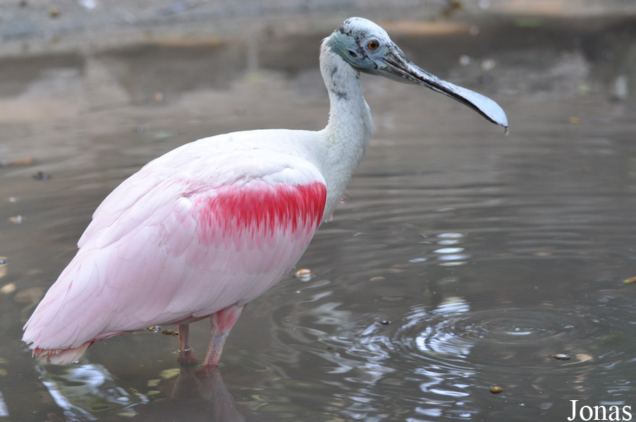 Zoo Landau in der Pfalz