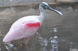 Zoo Landau in der Pfalz