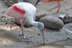 Zoo Landau in der Pfalz