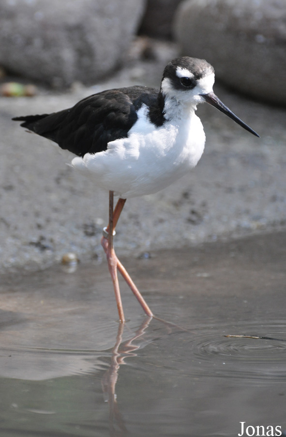 Zoo Landau in der Pfalz