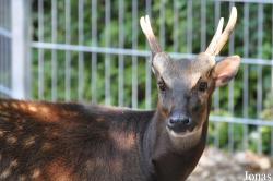 Zoo Landau in der Pfalz