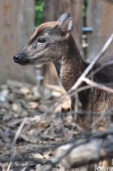 Zoo Landau in der Pfalz