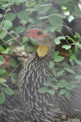 Zoo Landau in der Pfalz