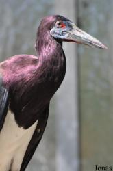 Zoo Landau in der Pfalz