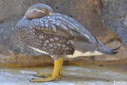 Zoo Landau in der Pfalz