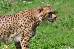 Zoo Landau in der Pfalz