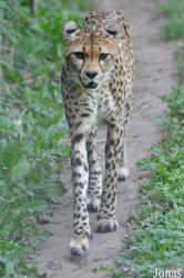 Zoo Landau in der Pfalz