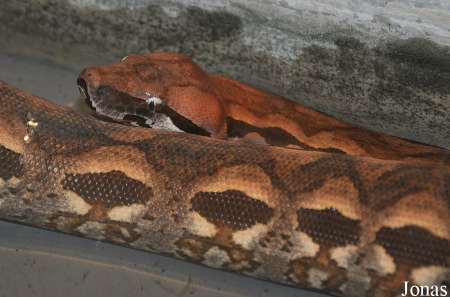 Naturkundemuseum Maria Laach