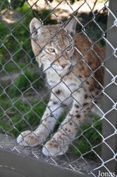 Blåvand Zoo