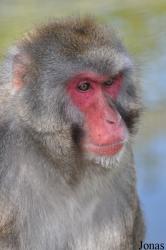 Blåvand Zoo