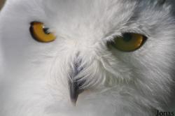 Faunapark Flakkee