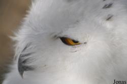 Faunapark Flakkee